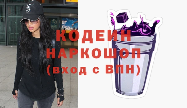 молекула духа Арсеньев