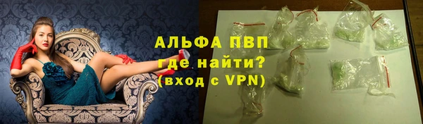 сатива Армянск
