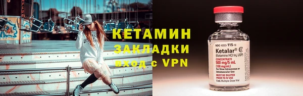 трава Аркадак