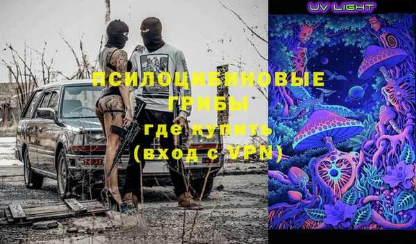 сатива Армянск