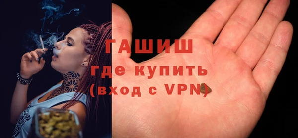 сатива Армянск