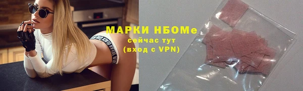 молекула духа Арсеньев