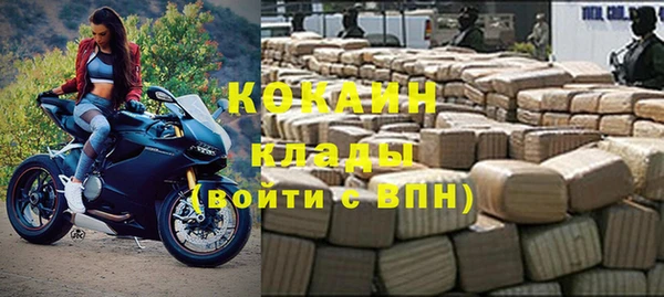 сатива Армянск