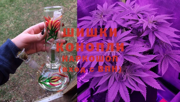 сатива Армянск