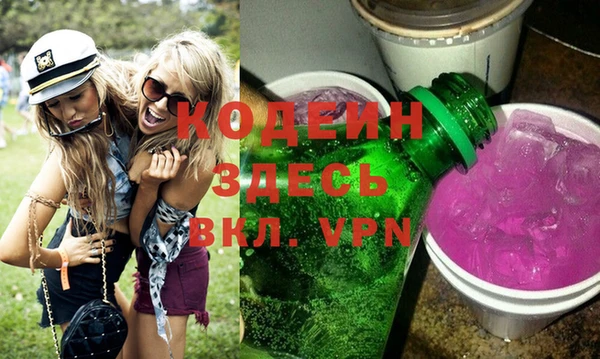 молекула духа Арсеньев