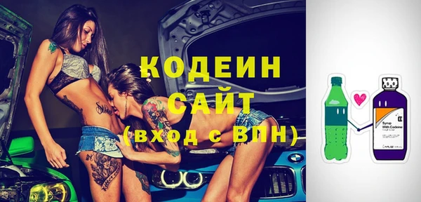 молекула духа Арсеньев