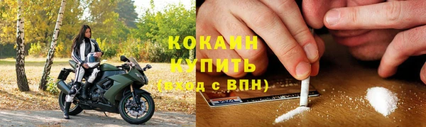 молекула духа Арсеньев