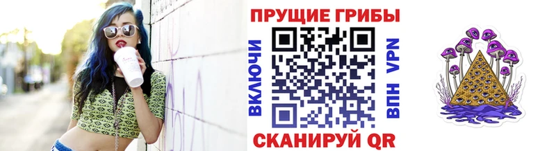 Псилоцибиновые грибы Cubensis  как найти закладки  Отрадная 